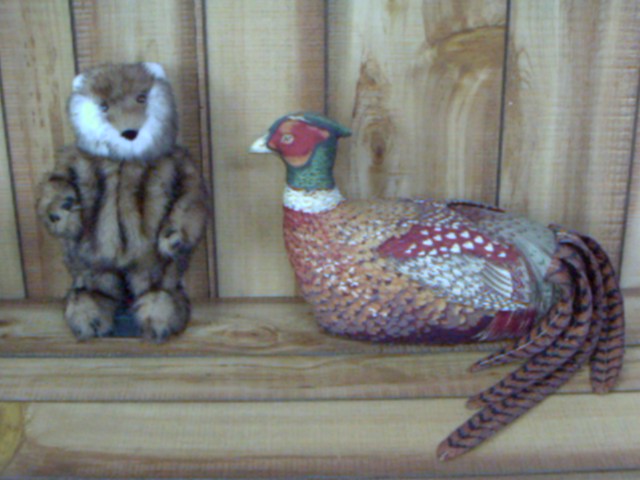 gopher and pheasant